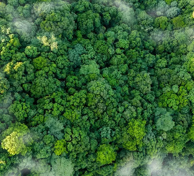 Sustainability Report 2022