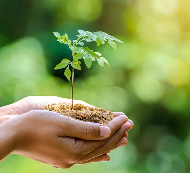 Sustainability Report 2023