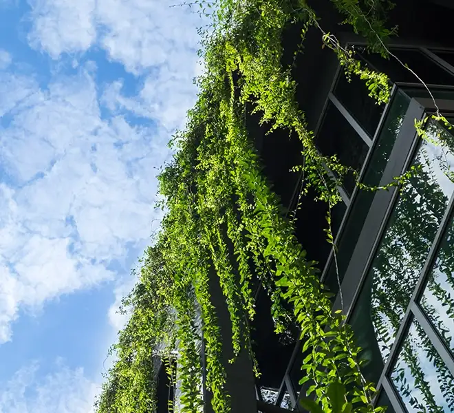 Sustainability Report 2025