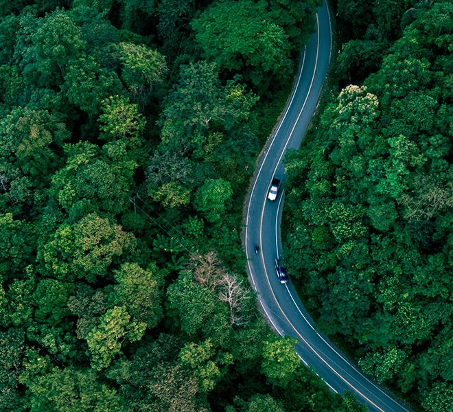 Building a global carbon market